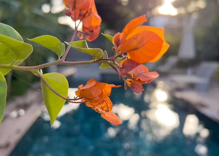 Cunda Pier Bed & Breakfast Ayvalı