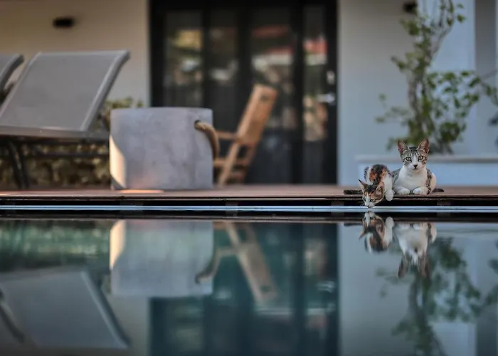 Bed & Breakfast Cunda Pier 4*